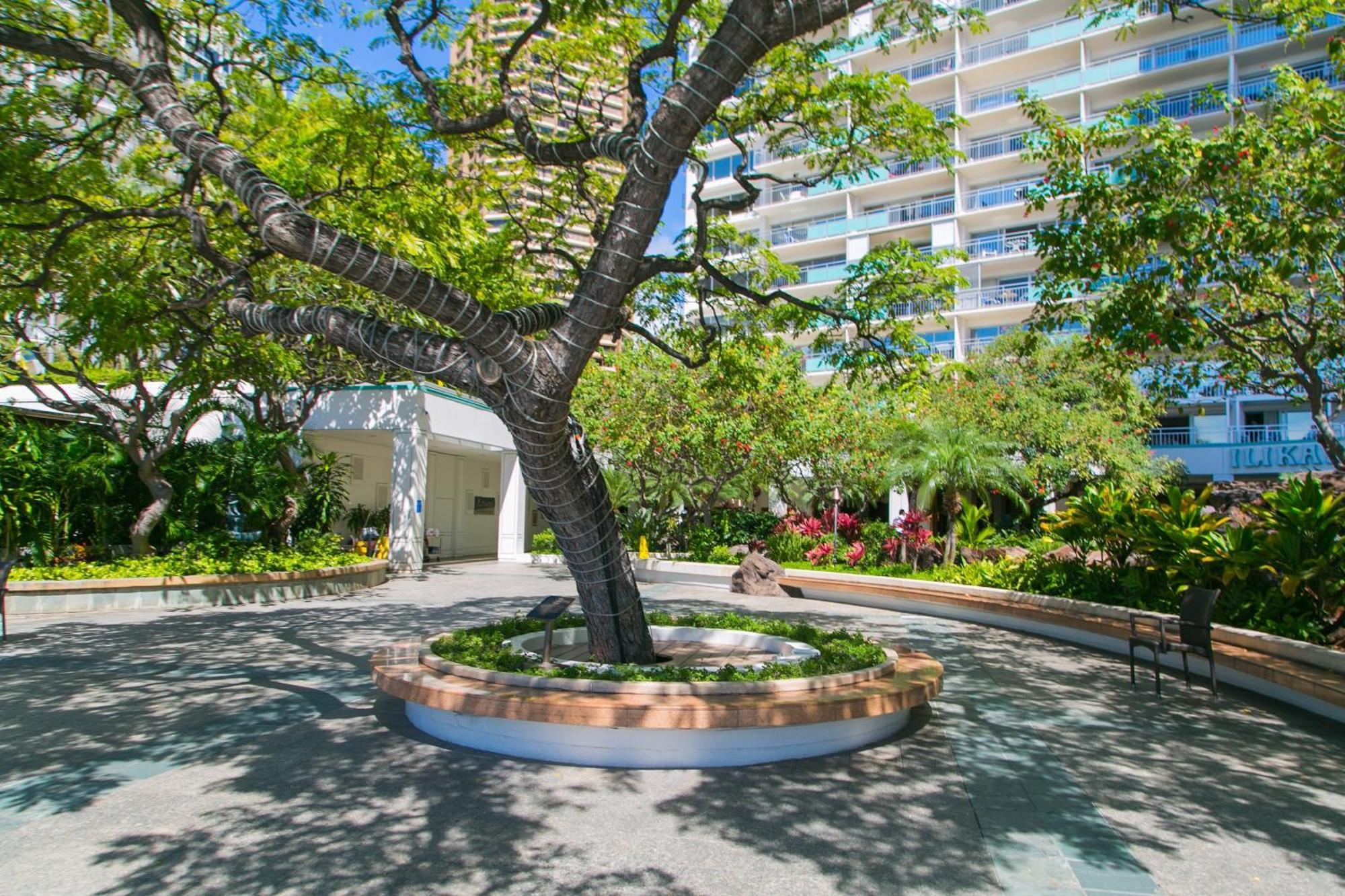 הונולולו Ilikai Tower 2109 City View 2Br מראה חיצוני תמונה